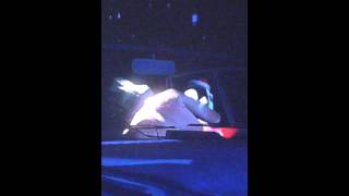 GTA 5 penguin getting some [upl. by Laved]