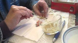 Linnie Parakeets Being Hand Fed One Week Old [upl. by Reisman]