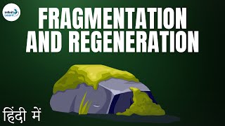 Reproduction  Lesson 12  Fragmentation and Regeneration  in Hindi हिंदी में   Dont Memorise [upl. by Winebaum638]