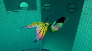 Freedive mermaid [upl. by Erund]