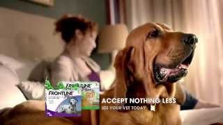 Frontline® Plus TV Shut out fleas not the dog [upl. by Alaehcim]