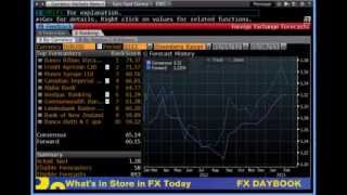 Bloomberg Training  Bloomberg FX Forecast  wwwfintutecom [upl. by Henson]