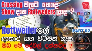 Rottweilersගේ ආහාර සහ විටමින් ගැන  Part 02  Rottweilers Diet and vitamins Facts Sinhala Review [upl. by Alim744]