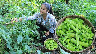 2 recipes with green chili  Fresh green chili from family vegetable garden  Cooking with Sreypov [upl. by Ennaeerb]