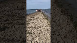 Rewa spit Poland path to Hel baltic rewa morze shoal [upl. by Bernardine]