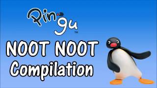 NOOT NOOT Pingu quotNoot Nootquot Compilation [upl. by Norga327]