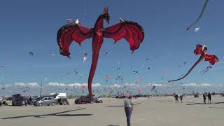 1000s of flying kites on the beach Fanø Denmark 🇩🇰 [upl. by Kalb]