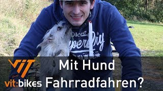 Hund und Fahrrad ist doch ganz einfach  vitbikesTV [upl. by Arraek46]