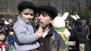 Bunny hop at Toronto Zoo [upl. by Mirilla]