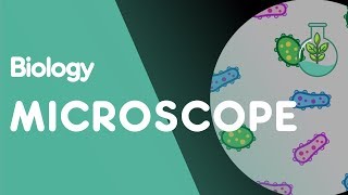 How to use a Microscope  Cells  Biology  FuseSchool [upl. by Talanta]