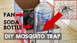 DIY Mosquito Trap that Actually Catches Mosquitoes [upl. by Rianna95]