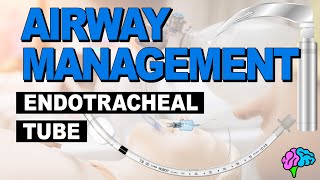 Anatomy of the Endotracheal Tube ET Tube  Airway Management [upl. by Erb]