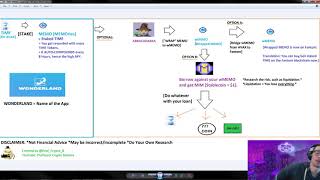 TIMEMEMOWONDERLAND and connections to DEFI 20 Simple Overview [upl. by Malamut]