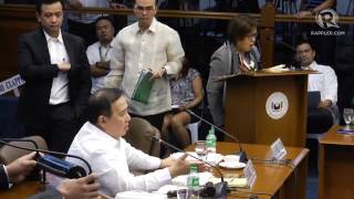 Heated exchange between Gordon de Lima Trillanes in the Senate [upl. by Urquhart]