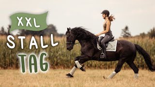 NEUE WEGE ERKUNDEN  Tino reiten  VLOG 88 [upl. by Mahon]