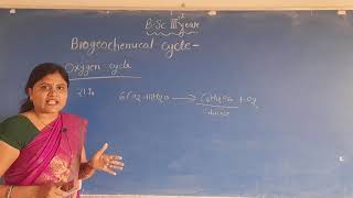 Bsc 3rd year zoology classesBiogeochemical cycle [upl. by Eiramlirpa]