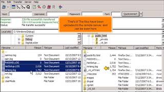 FTP How to Uploadtransfer Files Using FileZilla [upl. by Ahsinar]