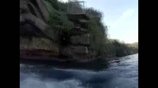 Man Jumps off Cliff Lands Next to Great White [upl. by Einniw815]