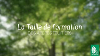 2 TAILLE DE FORMATION  Tutoriel [upl. by Vonni]