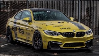 EAS BMW M4 Track Car [upl. by Telracs]