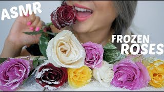 ASMR FROZEN ROSES  Extreme Crunchy Eating Sounds  NE Lets Eat [upl. by Manouch]