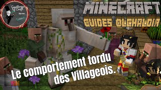 13  Le comportement des villageois reproduction déplacements  MINECRAFT 114  GUIDE AVANCÉ [upl. by Scornik]