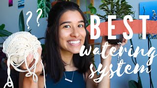 I STOPPED WATERING MY PLANTS 🤯  DIY Self Watering Systems Part 2 [upl. by Lucie]