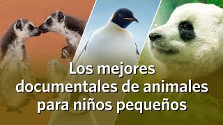 Los mejores documentales de animales para niños pequeños [upl. by Notaes]