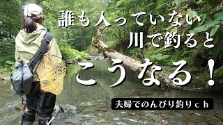 【4K】誰も入っていない川で釣るとこうなる！ [upl. by Bravin]