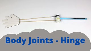 Body Joints  Hinge  ThinkTac  DIY Science [upl. by Chaffee]