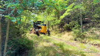 John Deere 670Gp Grader Moves Through the Narrow Paths of Green Forests johndeere grader [upl. by Atiniuq]