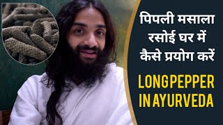 पिप्पली रसोई घर में कैसे प्रयोग करें  LONG PEPPER BENEFITS amp PROPER USES  LONG PEPPER IN AYURVEDA [upl. by Hasin]