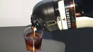 How to make Sheridans Coffee Layered Liqueur Shot Drink 🥃 [upl. by Esile639]