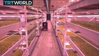 Urban Farming Microfarms taking root in Londons underground [upl. by Hermina768]