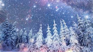 Peaceful Instrumental Christmas Music Relaxing Christmas music quotSnowy Winter Pinesquot By Tim Janis [upl. by Myrtia]