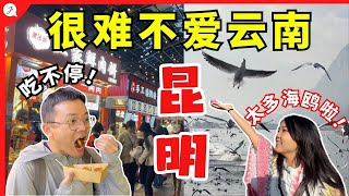 【中国旅游EP18】 第一次到中国云南昆明！ 别再把这里当中转站  太多好吃！这里的海鸥也太多了吧！ [upl. by Eloc]