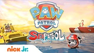 PAW Patrol Sea Patrol  Nick Jr [upl. by Ynhoj]