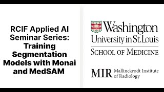 Training Segmentation Models with MONAI and MedSAM [upl. by Eannyl]