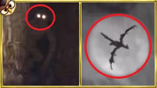 30 Mythical Creatures Caught On Camera amp Spotted In Real Life [upl. by Atirb68]