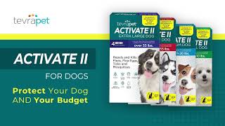 K9 Advantix II and K9 Advantage II [upl. by Affer]