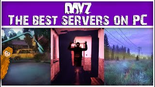 The BEST PC Servers You Need to Play on DayZ [upl. by Dahraf766]