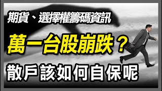 台股可能走長空，應該先思考一下如何降低傷害【20241117期貨、選擇權、股票】期貨winsmart 股票 [upl. by Hebe]