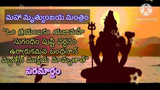 మహా మృత్యుంజయ మంత్రం అర్ధం  Maha mrutyunjaya mantram meaning and lyrics in Telugu [upl. by Dolorita]