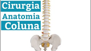 Quais são as 5 partes da coluna vertebral Qual é a divisão da coluna Entenda a cirurgia da Coluna [upl. by Ardnassac614]