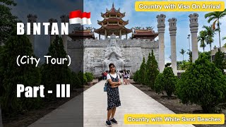 Bintan  Day 3  City Tour Places to Visit Near Singapore [upl. by Aneelahs]