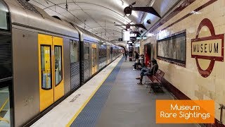 Sydney Trains Vlog 1592 Museum Rare Sightings [upl. by Booker]