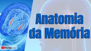 MEMÓRIA Áreas Cerebrais  Neuroanatomia com o Prof Rogério Souza [upl. by Ayekehs]