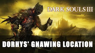 Dorhys Gnawing Location [upl. by Ryan877]