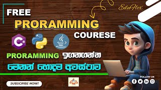 quotFree Programming Course for Beginnersquot  W3School  Programming ඉගන ගන්න කැමති ඔයාට මෙන්න හොදම තැන [upl. by Signe551]