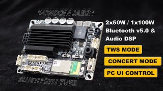 JAB2 Bluetooth TWS amp Concert Mode 2x50W1x100W Amplifier Board with DSP for PC UI Control TPA3116 [upl. by Alsi305]